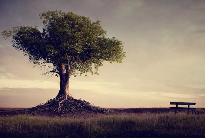 生活太累了坚持不下去怎么办，生活太累了坚持不下去怎么办微博