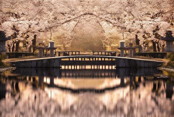 生活中对称的东西有哪些图；生活中对称的东西有哪些图片