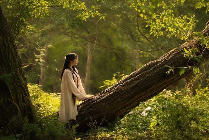 梦见别人砍树是什么意思周公解梦 梦见别人砍树是什么意思周公解梦女人 梦见别人砍树是什么意思周公解梦 梦见别人砍树是什么意思周公解梦女人