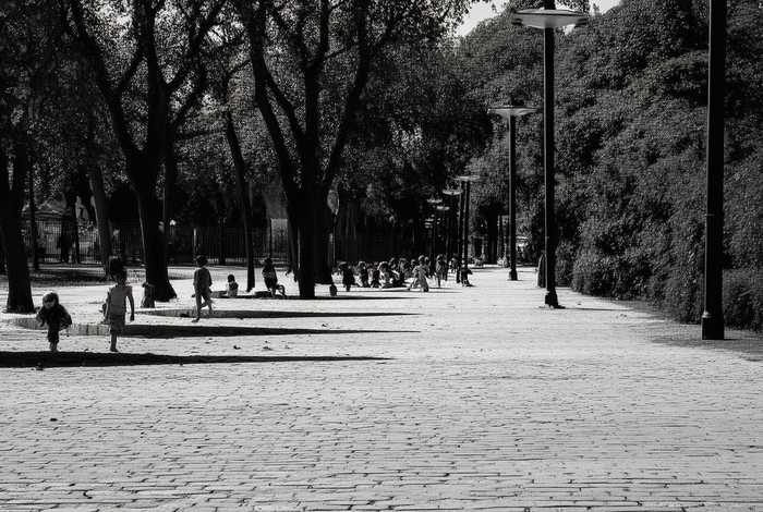 生活中直线有什么（生活中的直线有什么）