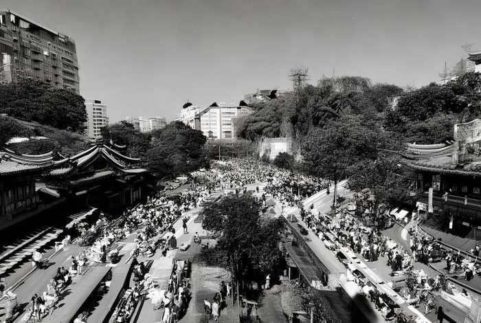蜜蜂的生活习性日记100字、蜜蜂的日常生活作文300字