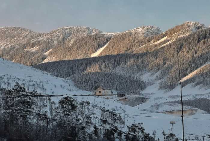 生活因梦想而精彩作文200字 生活因梦想而精彩作文200字开头