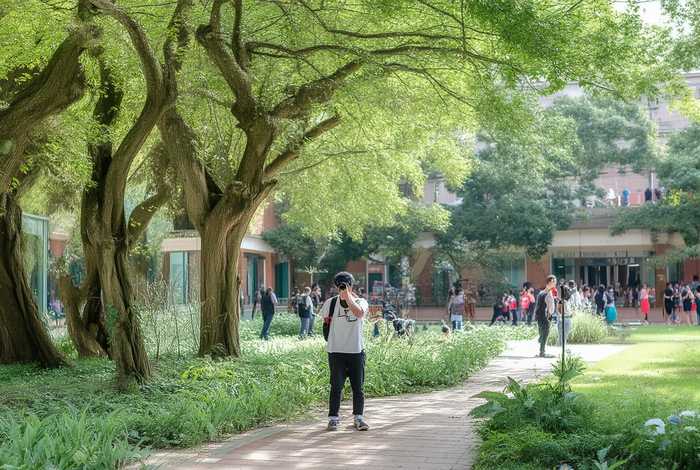 生活摄影艺术、生活摄影艺术南京林业大学