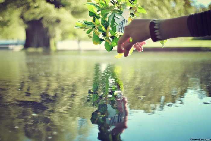 生活是名词还是动词文案；生活是名词还是动词文案怎么写