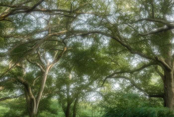 厦门生活节奏慢 - 厦门生活节奏慢的原因 厦门生活节奏慢 - 厦门生活节奏慢的原因