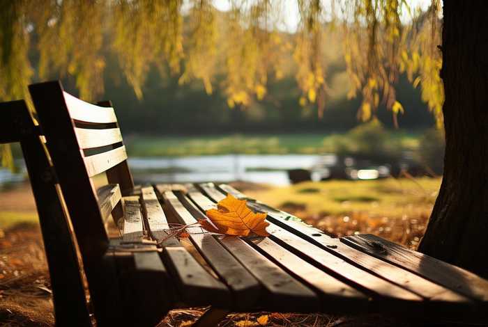 生活很苦很累诗意的句子（生活很苦很累诗意的句子说说）