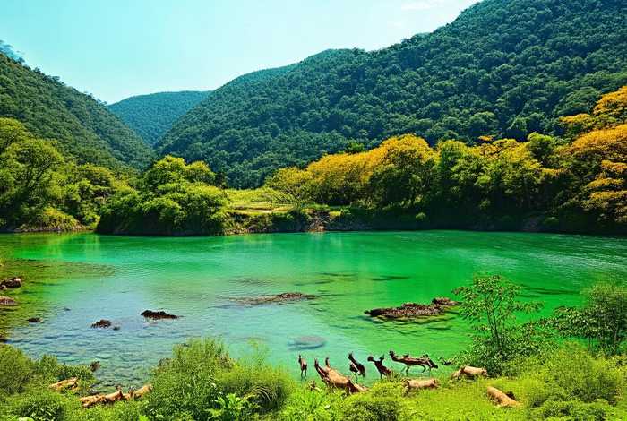 牡丹江生态环境局官网（牡丹江生态环境局官网查询）