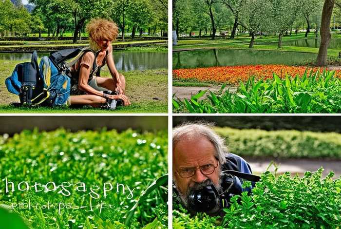 摄影生活；摄影生活的主要收获和体会 200字