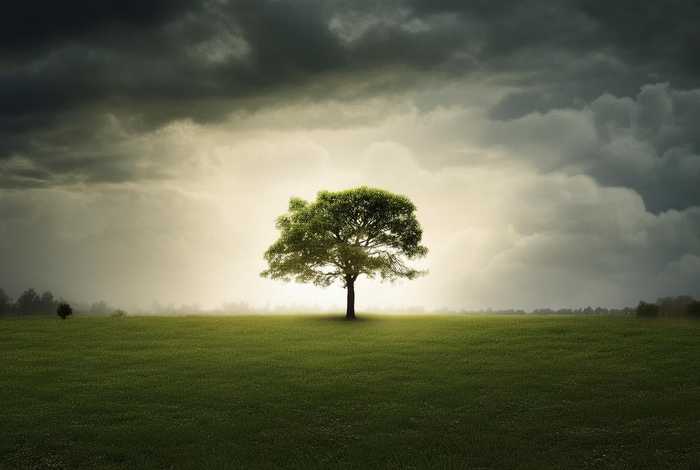 生活有阳光也有风雨的句子 生活有阳光也有风雨的句子简短