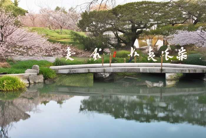 南京华度生活服务有限公司（南京华度生活服务有限公司怎么样）