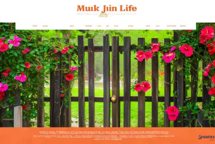 木槿生活官网；木槿生活官网首页