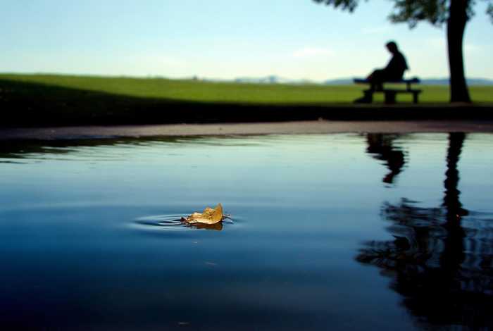 生活的简句；生活的简短句子