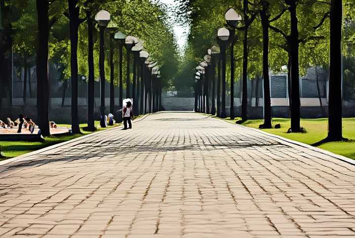 生活中直线有什么（生活中的直线有什么）