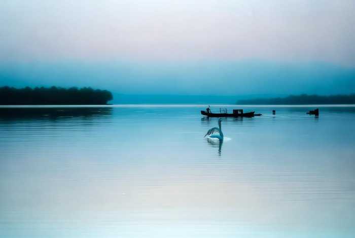 生活的波澜不惊什么意思，生活的波澜不惊什么意思呀