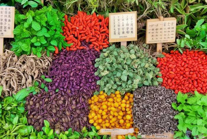 生活中常见的中草药图片及名字、生活中常见的中草药图片及名字有哪些