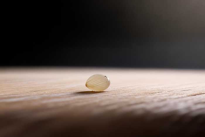 生活中1克的物品图片 - 生活中1克的物品图片大全 生活中1克的物品图片 - 生活中1克的物品图片大全