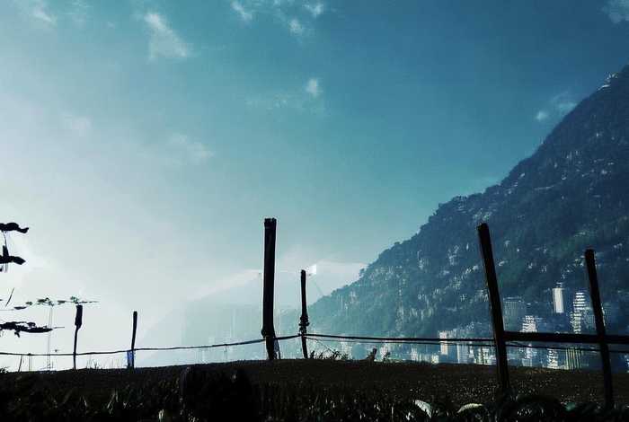 木系异能者的六零生活晋江;《木系异能者的六零生活》 木系异能者的六零生活晋江;《木系异能者的六零生活》