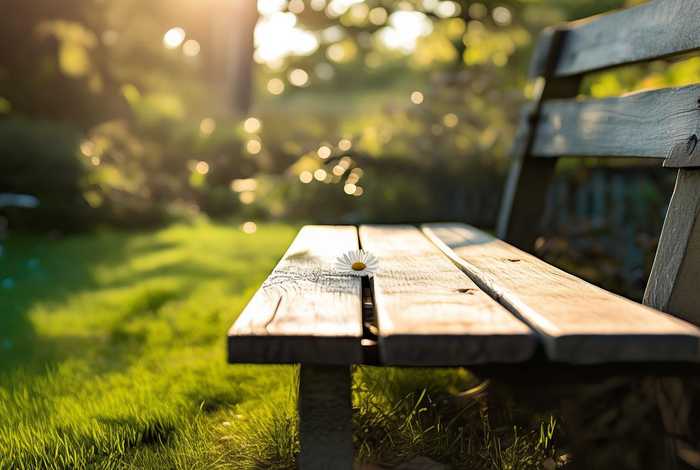 生活中普通又美的事物(生活中极普通的美) 生活中普通又美的事物(生活中极普通的美)