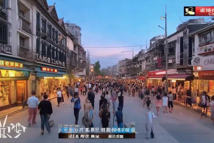 生活在线河北（河北电视台生活频道在线直播）