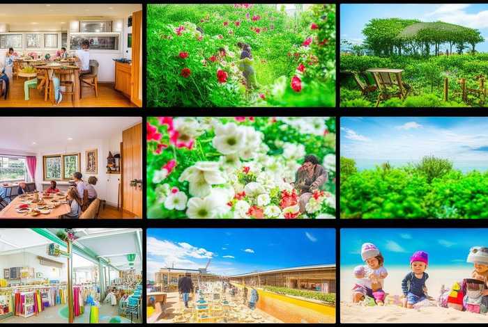 生活类节目有哪些，生活类节目有哪些节目