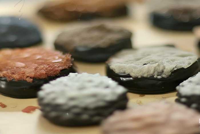 暑假生活事仿照草原第一自然段800字；仿照草原第一自然段写一段话50字