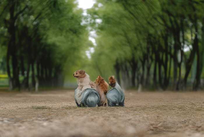 生活中美的瞬间作文400字左右 生活中美的瞬间作文400字左右初中