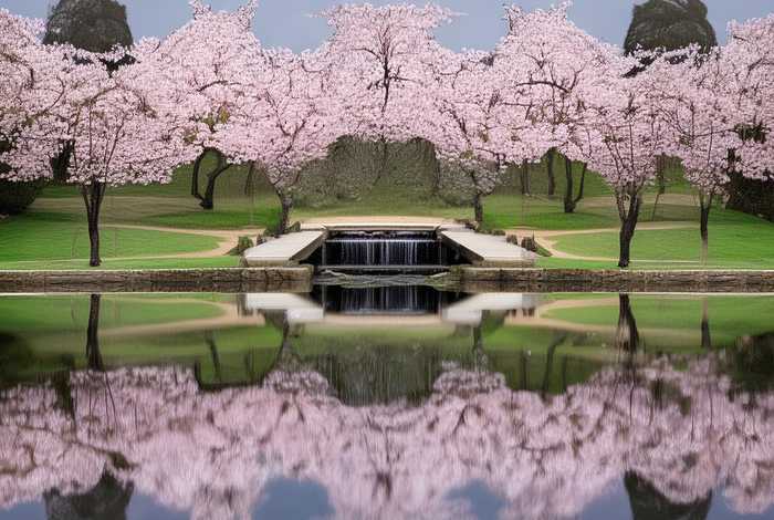 生活中对称的东西有哪些怎么画、生活中对称的物体有哪些