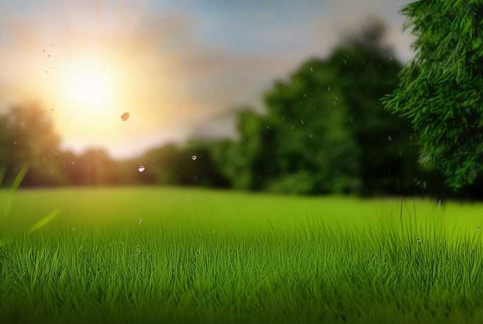 生活有风有雨有阳光、生活有风有雨有阳光的说说