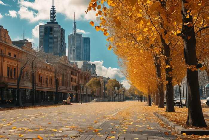 墨尔本的秋天纯音乐 - 墨尔本的秋天纯音乐铃声免费下载 墨尔本的秋天纯音乐 - 墨尔本的秋天纯音乐铃声免费下载