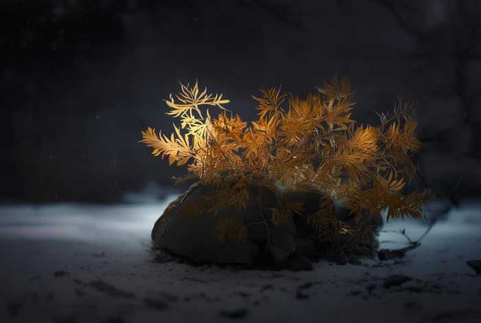 生活中自相矛盾的事例编一个故事、生活中自相矛盾的事例编一个故事50字