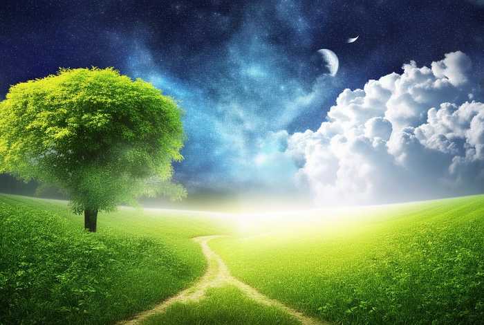 梦想和生活哪个更重要；梦想和生活哪个更重要作文