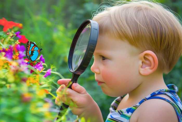 生活中的科学小故事50字（生活中的科学小故事50字内容）