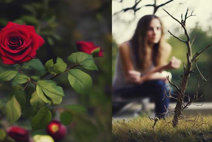 生活中的辩证法的例子；生活中的辩证法的例子简短