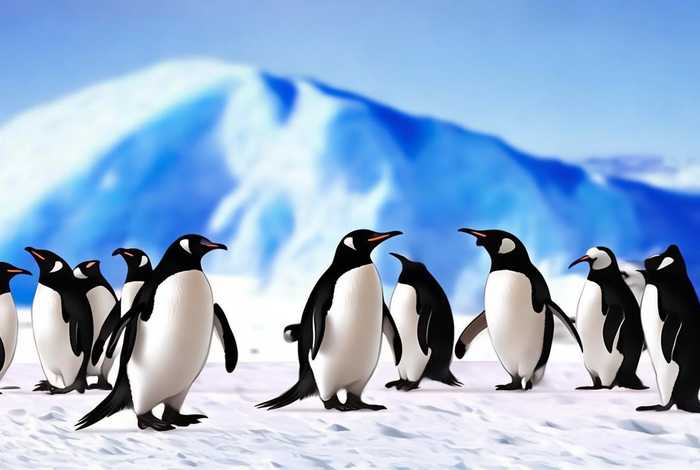 企鹅企鹅生活官方下载、企鹅企鹅生活app官方下载