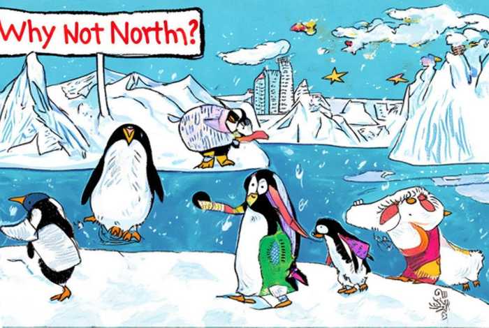企鹅为什么生活在南极而不生活在北极；企鹅为什么生活在南极而不生活在北极脑筋急转弯