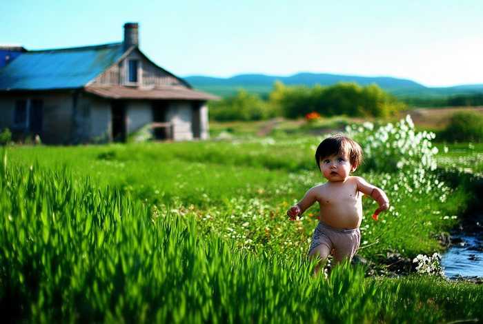 生活就是生下来活下去英文 - 生活就是生下来活下去英文怎么说