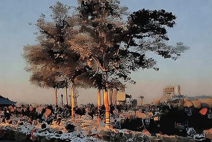 生活有关的英文句子（生活有关的英文句子有哪些）