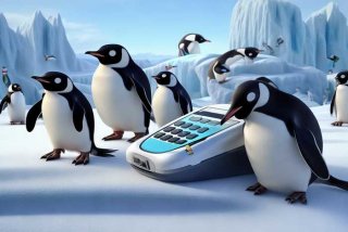 企鹅生活app（企鹅生活app刷卡）