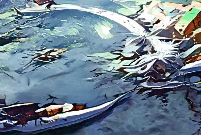 生活中处处有新闻,请你就学校新近发生的一件事写一则消息，请对你学校或身边发生的新鲜事写一则新闻