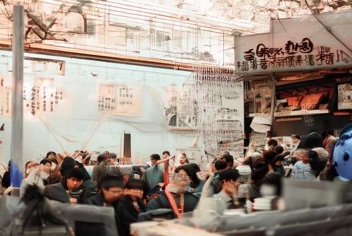 母鸡的生活习性30字，母鸡的日常生活