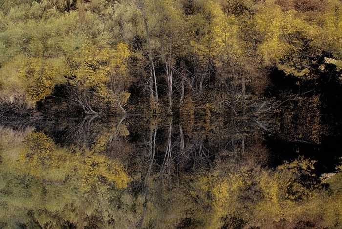 清贫,洁白朴素的生活仿写句子;清贫,洁白朴素的生活仿写句子一年级 清贫,洁白朴素的生活仿写句子;清贫,洁白朴素的生活仿写句子一年级