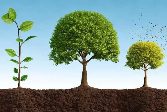 生命周期名词解释遗传学(生命周期名词解释遗传学原理) 生命周期名词解释遗传学(生命周期名词解释遗传学原理)