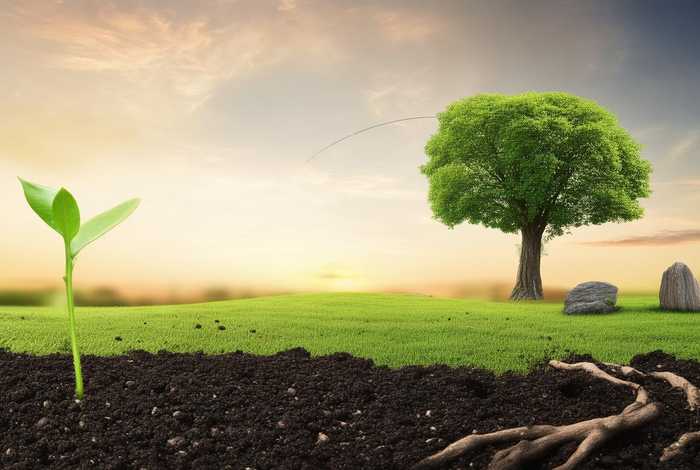 什么是生活周期（什么是生活周期的定义）