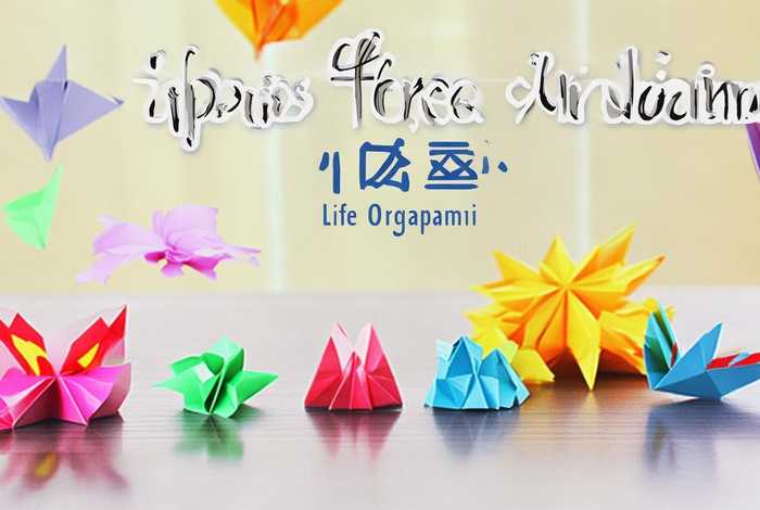 生活折纸大全视频教程简单；生活折纸大全视频教程简单又漂亮