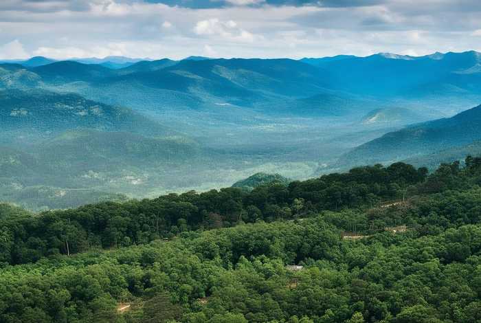 内蒙古经济生活频道 内蒙古经济生活频道三集连播 内蒙古经济生活频道 内蒙古经济生活频道三集连播