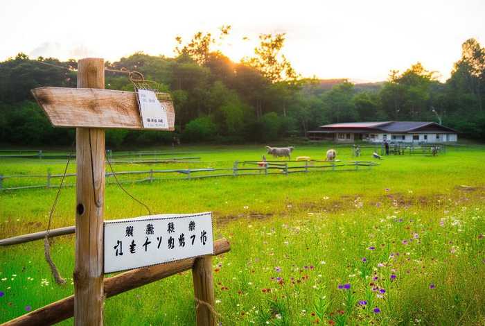 向阳舍慢生活农场门票多少钱 - 宁波向阳舍慢生活农场 向阳舍慢生活农场门票多少钱 - 宁波向阳舍慢生活农场