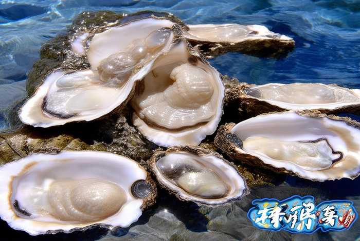 台山生蚝图片；台山生蚝图片水牌