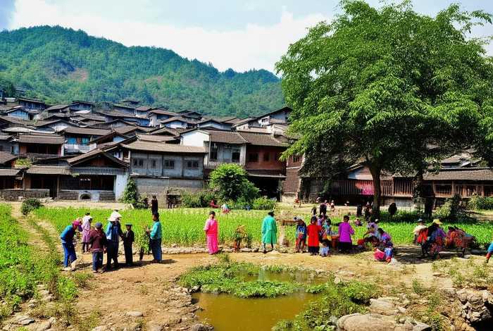 义乌农村生活网、义乌农村生活网最新消息