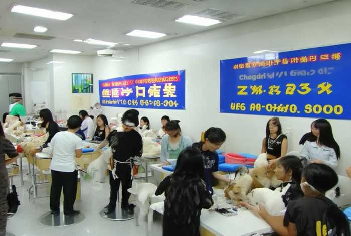 长沙宠物美容培训学校 长沙宠物美容培训学校及其电话