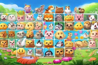 宠物连连看游戏app 宠物连连看游戏规则